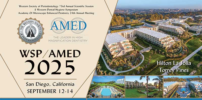 WSP / AMED 2025 Conference